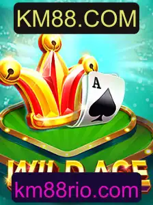 Explorando o Universo de WildAce: Um Mergulho nas Regras e Características do Jogo